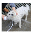 Nuevo diseño de lavado de perros Doglemi Wholesale Pet Shower Tool Cómodo Machine Machine Dog Wash